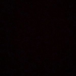 Meet your Posher, Ben